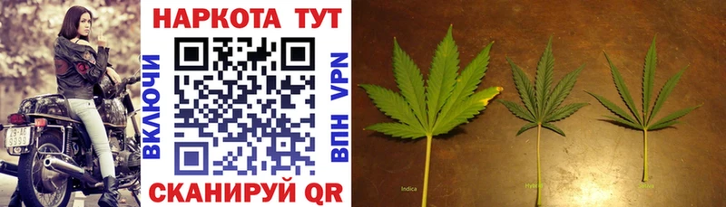 Виды наркоты Златоуст Бошки Шишки БУТИРАТ Гашиш Лсд 25 КОКАИН