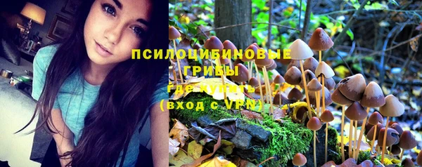винт Бронницы