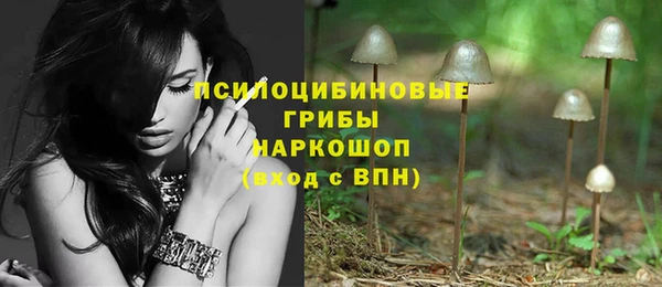 винт Бронницы